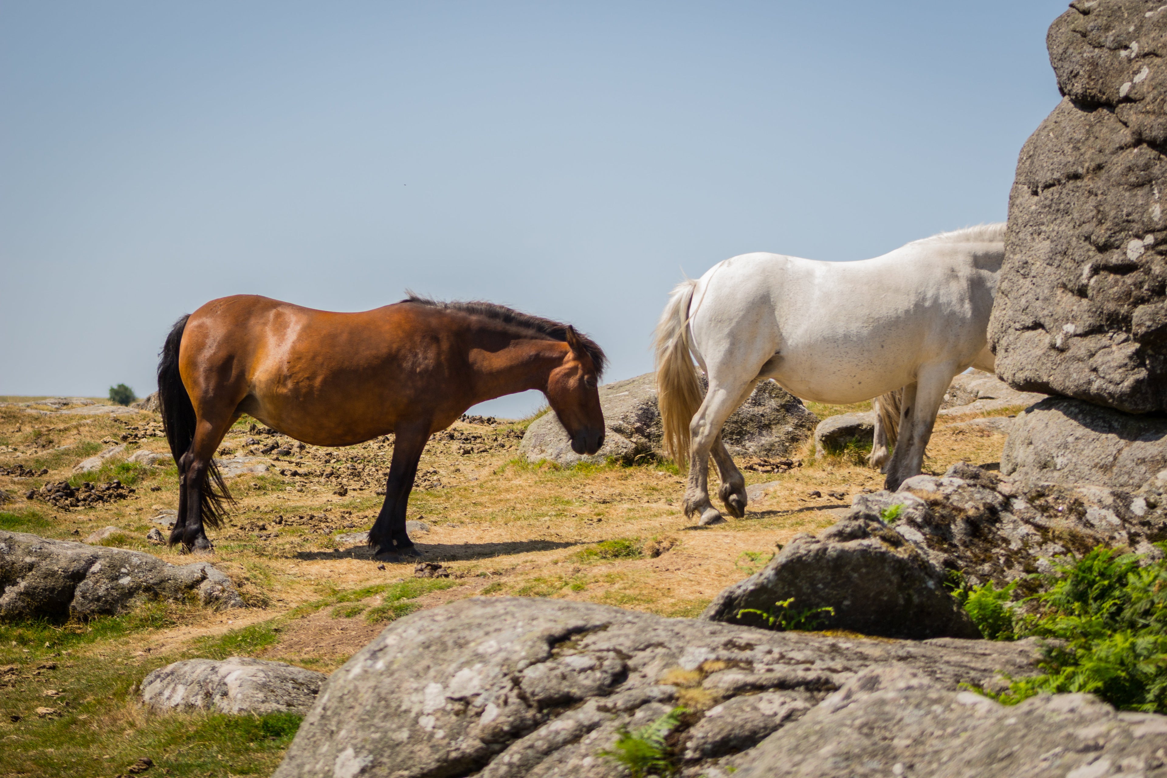 A Calm Approach to Race Weekend Logistics